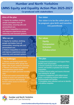 LMNS E&E Infographic  (1)