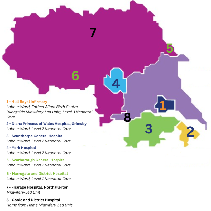 HNY Maternity and Neonatal Map 